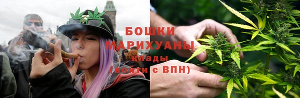 индика Нягань