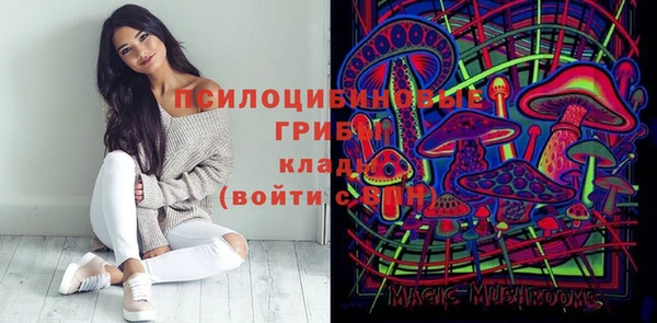 прущие крисы Сосновоборск