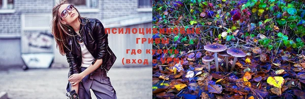 СК Остров