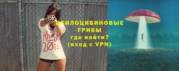 шишки Няндома