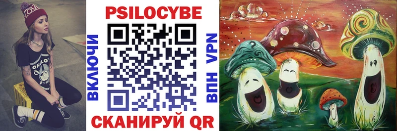 Галлюциногенные грибы Psilocybe  Трубчевск 
