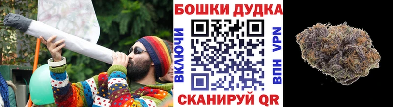 Бошки Шишки план Трубчевск
